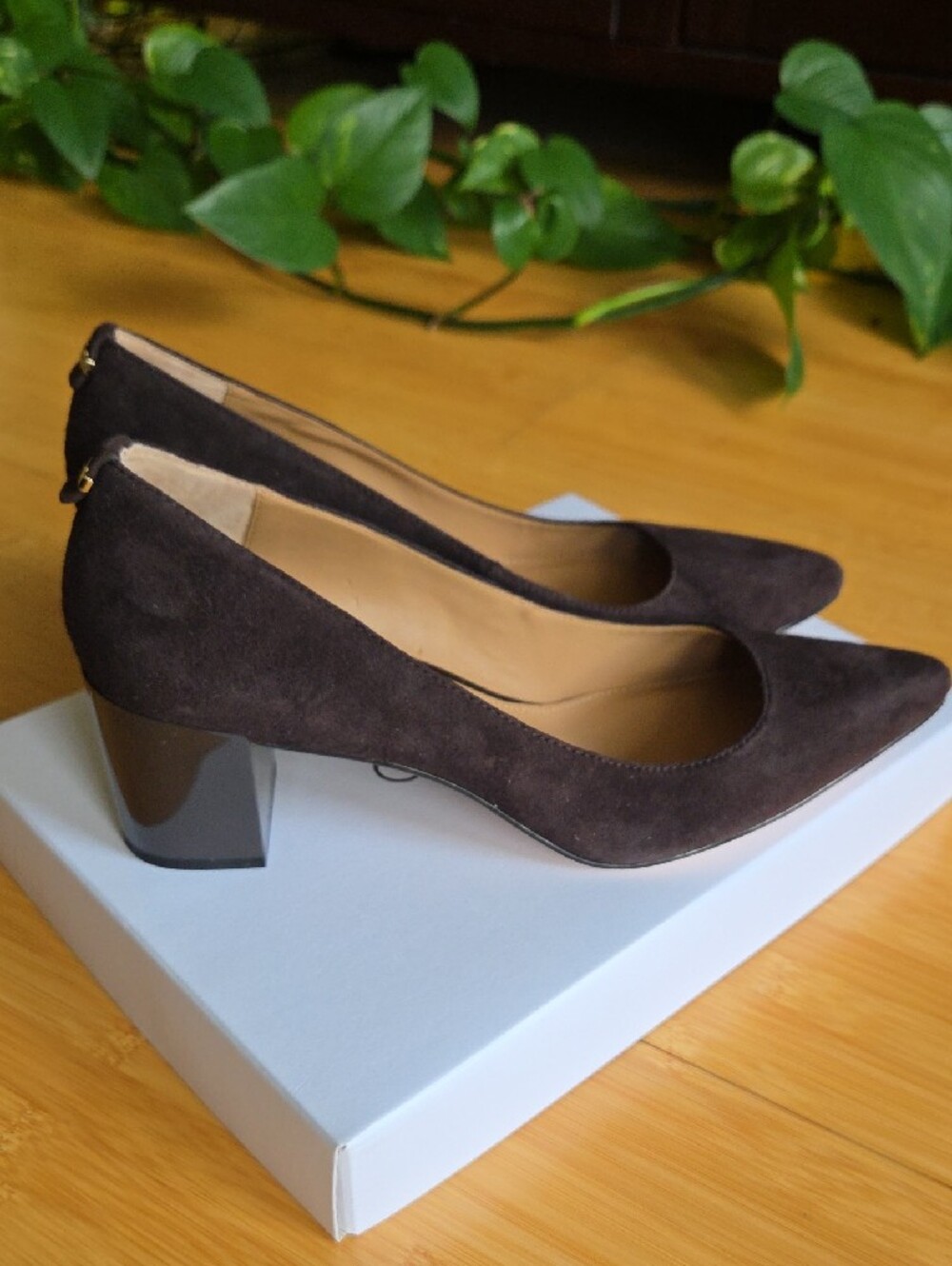 Calvin Klein Brown Suede Pointed Block Heel Pumps
